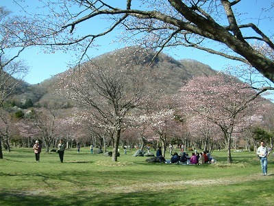 040508010.jpg