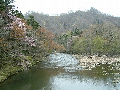 050514%20011.jpg