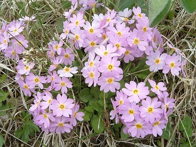 DSCF0034.jpg