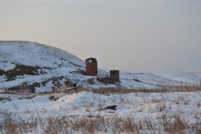 DSC_0025.jpg