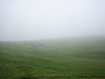 IMG_2919.jpg